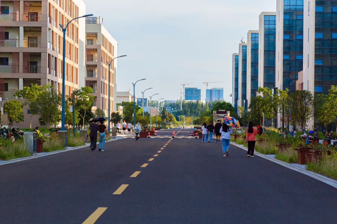 IMG_4100-123.jpg 图片