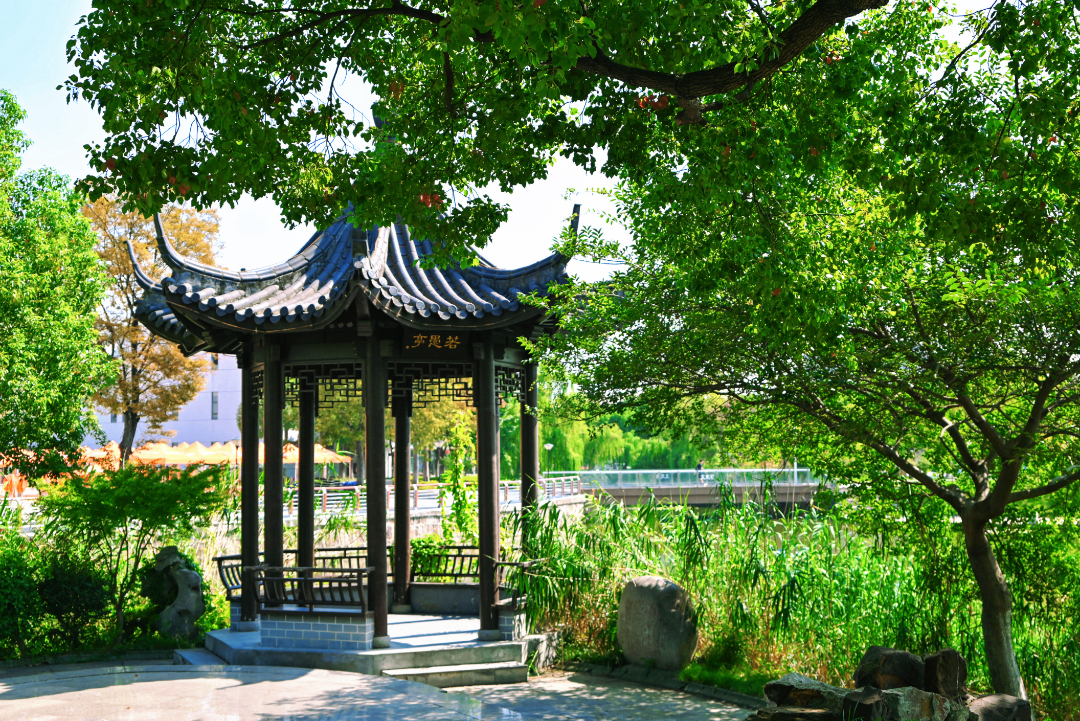 景耀1.jpg