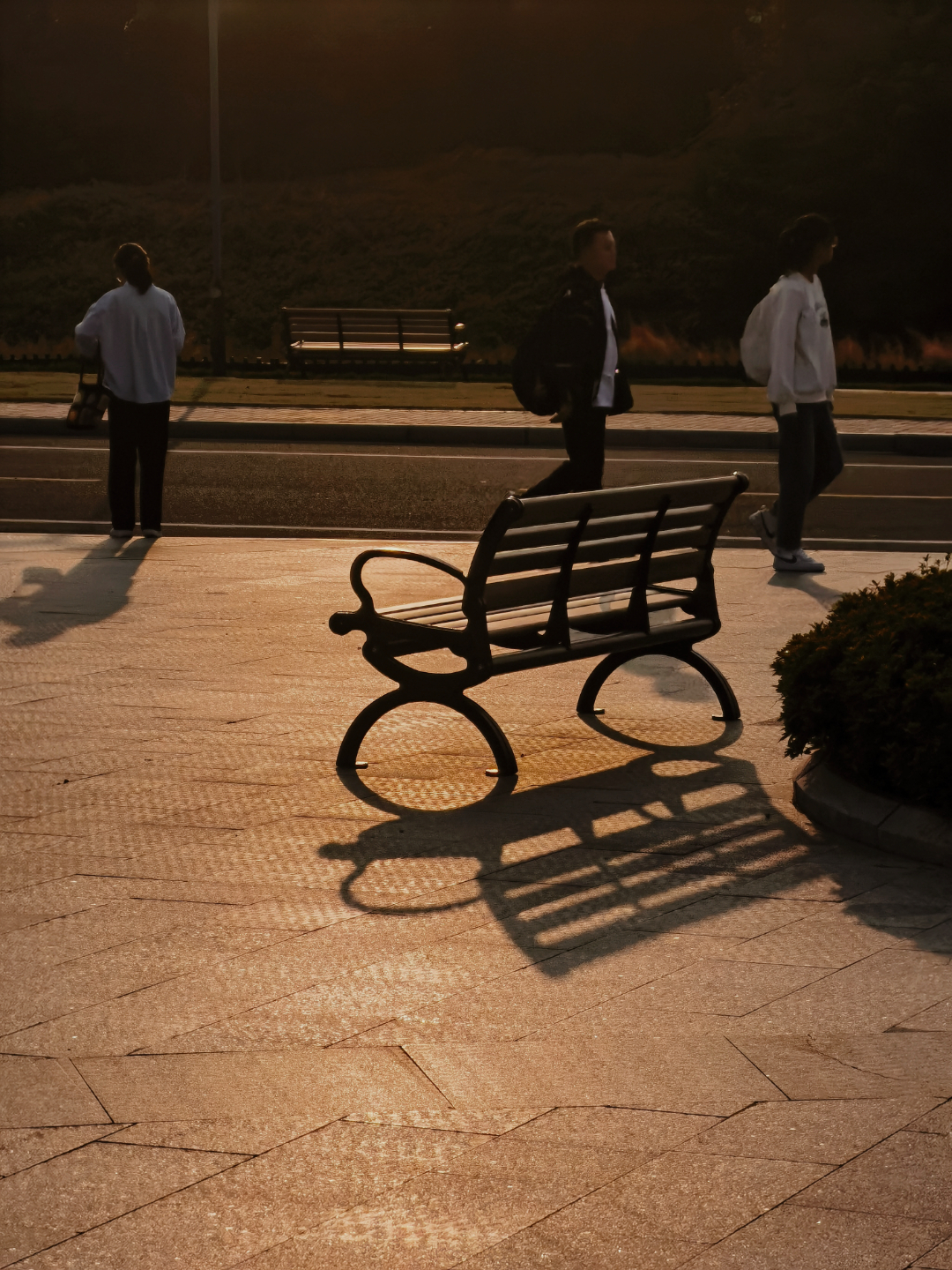 钱朱楠 (19).jpg