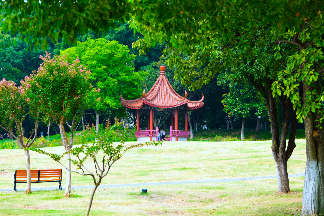 常谦鹏-2.jpg
