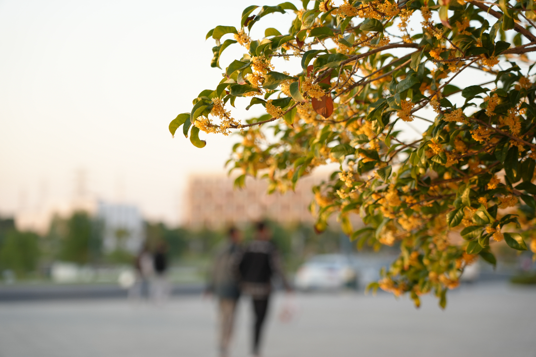 罗咏09-15.jpg